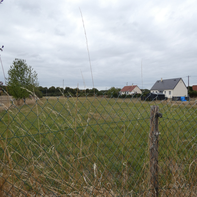 Offres de vente Terrain Tendu (36200)